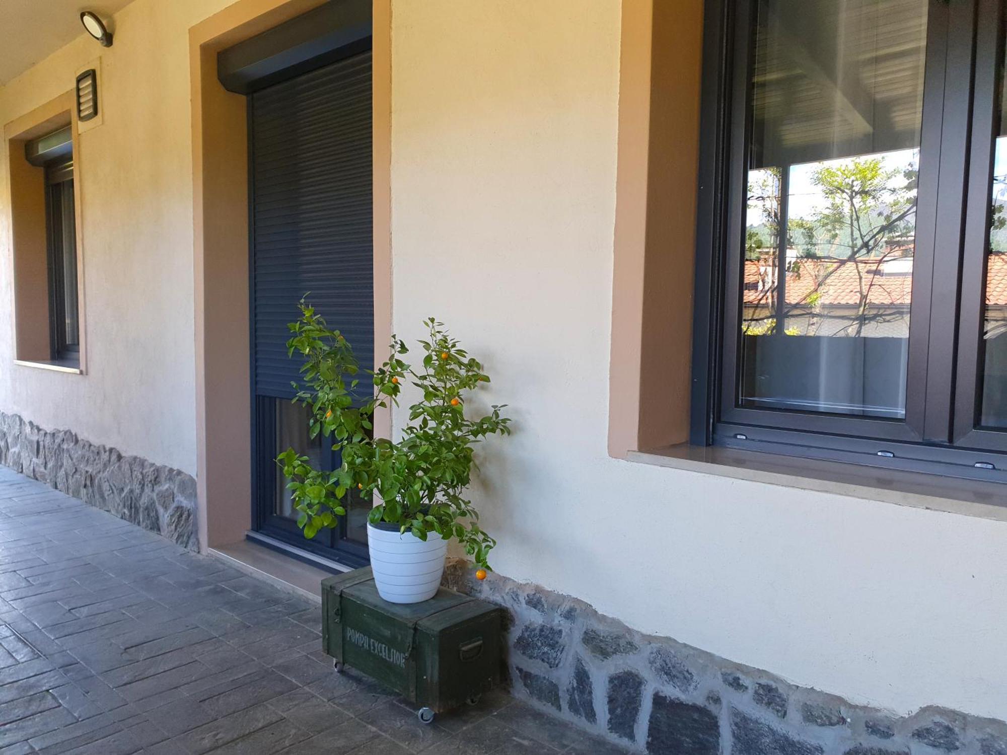 Apartment With Terrace Nona Pavla 托尔明 外观 照片