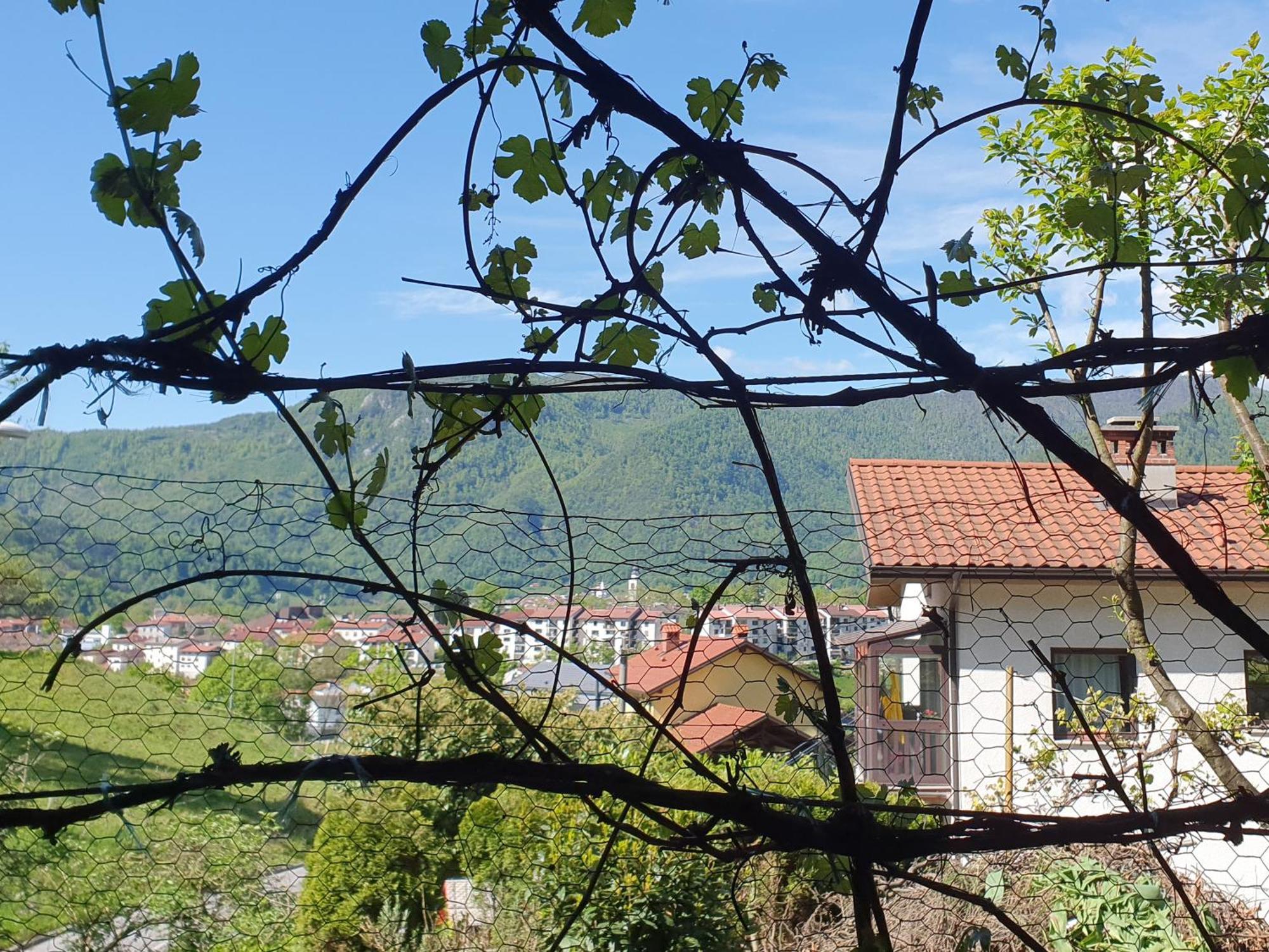 Apartment With Terrace Nona Pavla 托尔明 外观 照片