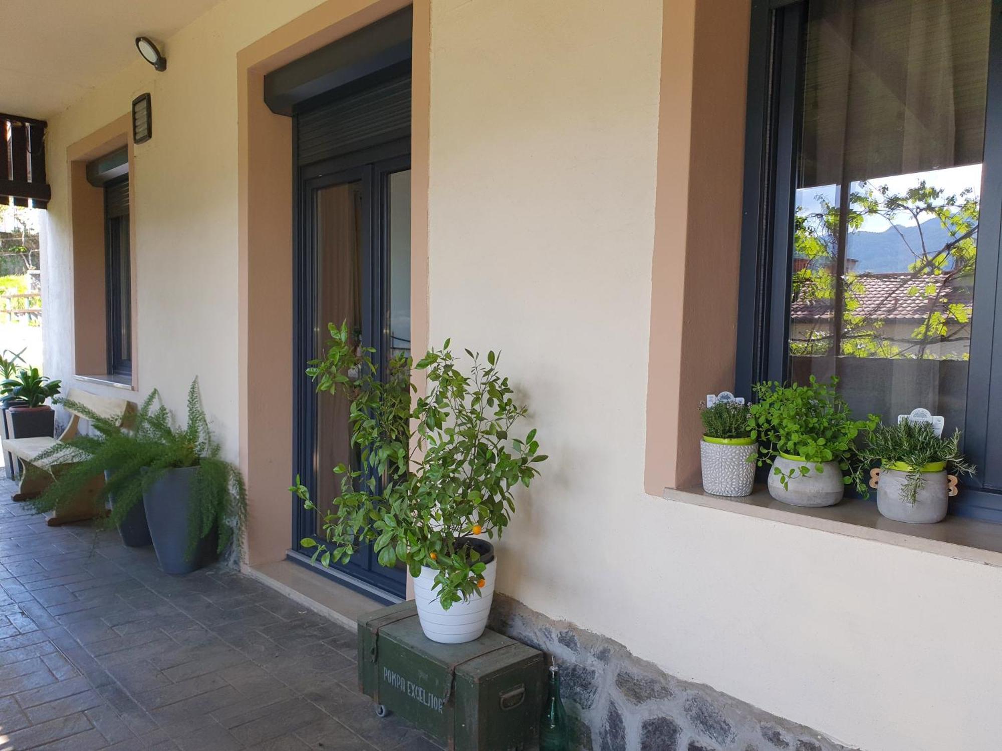 Apartment With Terrace Nona Pavla 托尔明 外观 照片